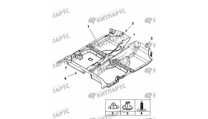 Пол BYD